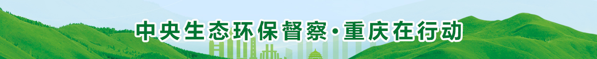 環(huán)保督查