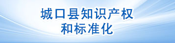 知識(shí)產(chǎn)權(quán)和標(biāo)準(zhǔn)化