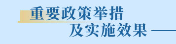 重要政策舉措及實(shí)施效果