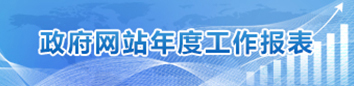 政府網(wǎng)站年度工作報(bào)表
